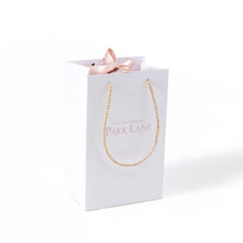 Load image into Gallery viewer, Small Park Lane Gift Bag
